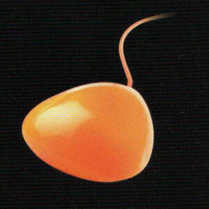 ESPRIT Tischleuchte Drop Glas klein orange 15x5cm Textilkabel or